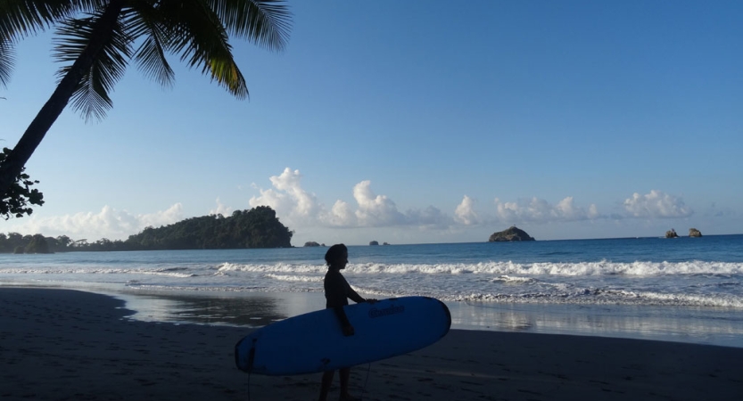 A palm tree and the silhouette of a person holding a surfboard on the beach is in the foreground. In the background, small waves crash against the beach and small islands dot the horizon.